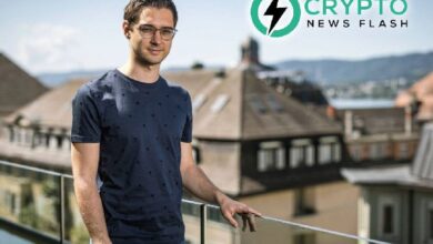 "Haz que IOTA Sea Genial de Nuevo: El Fundador Promete Impulsar IOTA a Nuevas Alturas" - Cripto Boom