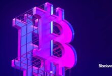 La historia de las correcciones del mercado alcista de Bitcoin: Descubre su impacto ahora - Cripto Boom
