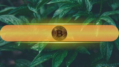 ¡Bitcoin Vuelve al Top 10 de los Mayores Activos Globales por Capitalización de Mercado tras Subir a $75K! - Cripto Boom