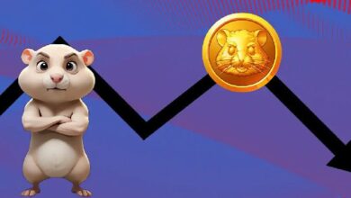El Volumen de Comercio se Dispara, pero Hamster Kombat Enfrenta Grandes Desafíos: Descubre Más - Cripto Boom