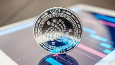 Exclusiva: Fundador de IOTA Revela Visión Sobre el Futuro del Proyecto, Tecnología de Identidad y Listados en Exchanges - Descubre Más Aquí - Cripto Boom