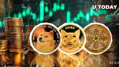 Dogecoin, Shiba Inu y Cardano Podrían Despegar en 2025. ¡Descubre por Qué! - Cripto Boom