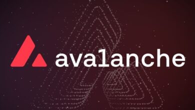 Avalanche Cerca Romperse: Analista Experto Fija Meta de $420 para AVAX en Este Ciclo ¡Descúbrelo! - Cripto Boom