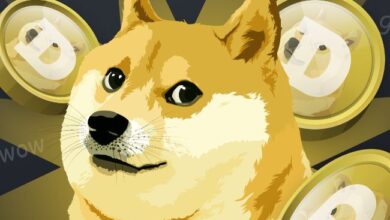 Dogecoin Se Forma Un ‘Triple Techo Preocupante’: Analista Revela Qué Sigue - Descúbrelo Aquí - Cripto Boom