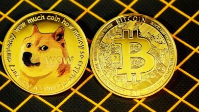 El Fundador de BitMEX Arthur Hayes Revela Predicciones de Precio para Bitcoin y Dogecoin en 2025: ¡Descubre Más! - Cripto Boom
