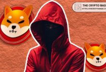 El Líder de Shiba Inu Revela Cómo los Estafadores Explotan su Interacción con la Comunidad SHIB - Descubre los Detalles Ahora - Cripto Boom