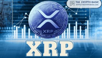 Quinta Ola Podría Impulsar XRP un 3,536% a $20, Afirma Técnico de Mercado—Descubre Más Aquí - Cripto Boom