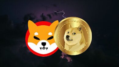 Coinbase Lista WIF Coin e Impacta el Mercado: Descubre Más Aquí - Cripto Boom