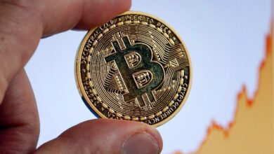 ¡Descubre cómo Bitcoin superó a NVIDIA, Google y Amazon en recompensas por riesgo en octubre de 2024! - Cripto Boom