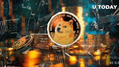 525 Millones de DOGE en 20 Horas - ¡Descubre Qué Está Pasando! - Cripto Boom