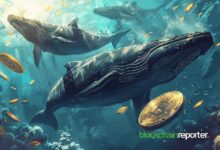 Ballena Acumula 11,658 BTC Valorados en $780.5M en Estrategias de Compra Desde Marzo: Descubre Más - Cripto Boom