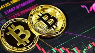 Empuje de Precios de Bitcoin y Dogecoin: ¡La Euforia Cripto Crea un Bullish Barbell! - Cripto Boom