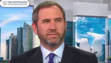 CEO de Ripple y Fundador de Cardano en Conversaciones: ¡Descubre su Emoción por una Alianza Futura! - Cripto Boom