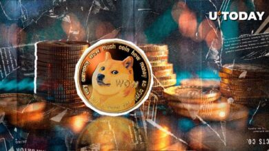 7.72 mil millones de Dogecoin en 24 horas: ¡Descubre por qué el precio de DOGE sigue en rojo! - Cripto Boom