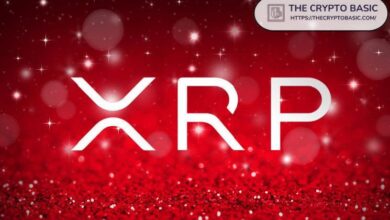 20 Razones para Ser Super Alcista en XRP, Según Experto - Cripto Boom