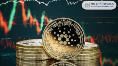 Descubre Cuánto Podría Valer 1 Cardano si ADA Sube un 100%, 500% o 1000% Tras las Elecciones en EE.UU. - Cripto Boom