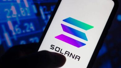 ¡La Blockchain de Solana Alcanzó su Mayor Número de Usuarios en la Historia! Descubre los Detalles Aquí - Cripto Boom