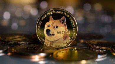 Dogecoin Aumenta a Máximo de Cinco Meses por Onda Electoral en EE.UU. - ¡Descubre el Impacto! - Cripto Boom