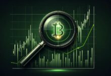 Director de Fidelity Investments Comparte Modelos de Adopción y Valoración de Bitcoin: ¡Descubre las Claves! - Cripto Boom
