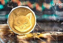 Solo quedan 470 mil millones de Shiba Inu (SHIB): ¡Descubre qué viene a continuación! - Cripto Boom