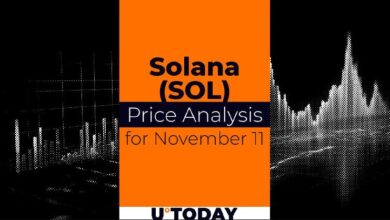 Pronóstico del Precio de Solana (SOL) para el 11 de Noviembre: ¡Descubre las Tendencias! - Cripto Boom