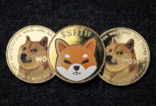 ¿DOGE o SHIB? Descubre cuál es la mejor inversión para 2025 según ChatGPT-4 - Cripto Boom