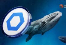 Actividad de Ballenas Chainlink en Alza: Analistas Prevén un LINK a $100 - ¡Descubre Más! - Cripto Boom