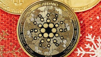 Informe de Activos de $478M de la Fundación Cardano: ¡Descubre Cómo sus Bitcoin Podrían Superar los $100 Millones tras el Auge del Mercado! - Cripto Boom