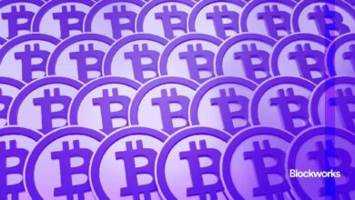 Con BTC cerca de $100K, ¿qué esperar en Acción de Gracias? - Cripto Boom