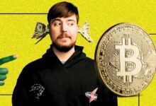 MrBeast Responde a Acusaciones Cripto, Oompaville Investiga Más - ¡Descubre la Verdad! - Cripto Boom