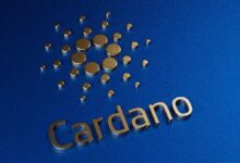 ¡Cardano Hace Historia con su Primer ZK Smart Contract! Descubre los Detalles - Cripto Boom