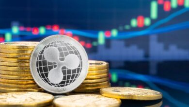 ¿Por qué la multa de $125 millones de Ripple no irá a la SEC, a pesar de la demanda contra XRP? Descubre los detalles ahora - Cripto Boom