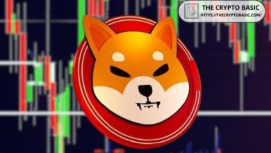 ChatGPT y Google Gemini Predicen el Precio de Shiba Inu mientras BTC Alcanza Nuevo ATH por la Esperada Victoria de Trump - ¡Descubre Más! - Cripto Boom