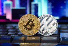 Lanzamiento de SolanaSwap: Descubre la Nueva Plataforma DeFi - Cripto Boom