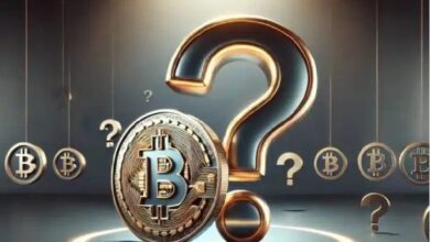 ¿Qué Altcoins Compraron los Inversores Institucionales Mientras Bitcoin (BTC) Rompía Nuevos Récords? ¡Descubre las Cuatro Altcoins Destacadas! - Cripto Boom