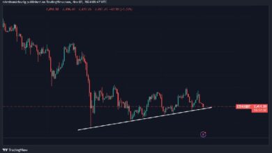 Fase de Consolidación de Ethereum: ¿Cambiará la Demanda tras las Elecciones en EE.UU.? ¡Descúbrelo! - Cripto Boom
