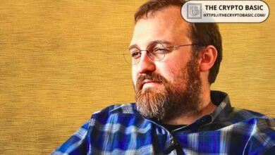 El Fundador de Cardano Confirma que Está Dialogando Activamente con Legisladores de EE.UU. para Crear un Marco Integral de Criptomonedas - Descubre Más - Cripto Boom