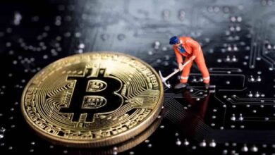 Esta acción de minería de Bitcoin se disparó un 300% en un día: ¡Descubre por qué! - Cripto Boom