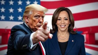 Elecciones EE.UU. 2024: ¿Qué opinan Harris y Trump sobre la regulación cripto? Descúbrelo aquí. - Cripto Boom