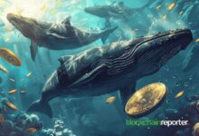 Ballena Cripto Vende $3.15M en Medio de Apuesta Electoral por Victoria de Trump – ¡Descubre los Detalles! - Cripto Boom