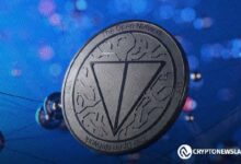 ¡TON se consolida como la mejor blockchain con un crecimiento del 177.9% en 2024! Descubre más aquí. - Cripto Boom