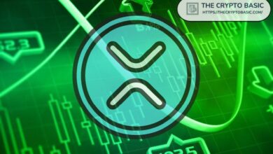 ¡Descubre 5 Factores Clave que Podrían Impulsar a XRP a $1,000! - Cripto Boom