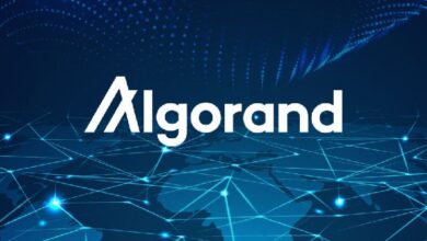 Predicción del precio de Algorand: ¡Aprovecha el raro patrón que indica más ganancias para ALGO! - Cripto Boom