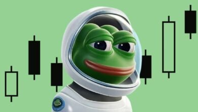 El Precio de PEPE Podría Multiplicarse por 10: Descubre por Qué Esta Moneda Meme Está Ganando Impulso - Cripto Boom