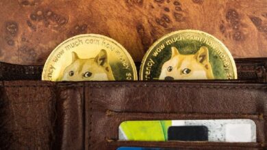 Analistas Afirman que los ETFs de Dogecoin No Son Tan Locos como Parecen: ¡Descubre Por Qué! - Cripto Boom