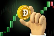 Rally de Precio DOGE: ¿Romperá Dogecoin su Récord Histórico de 2021? - Cripto Boom