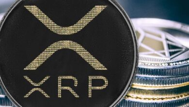 Precio de XRP Apunta a un Nuevo Incremento: ¿Podrán los Toros Cumplir? ¡Descúbrelo Aquí! - Cripto Boom
