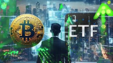 ETFs Spot de Bitcoin Registran Ingresos Récord de $1.1B Durante el Rally del Mercado: Descubre Más - Cripto Boom