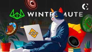 El 64% de los Memecoins de Wintermute se Listan en Binance: ¡Descubre Cómo! - Cripto Boom