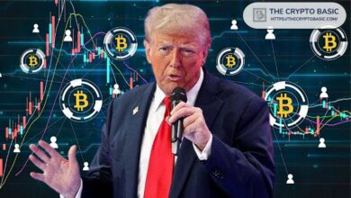 Medios Chinos Destacan la Estrategia de Donald Trump para Crear una Reserva de Bitcoin en EE.UU. ¡Descubre Más! - Cripto Boom